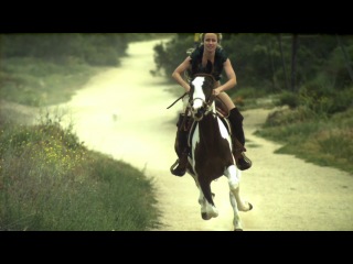 horse career in slow motion.